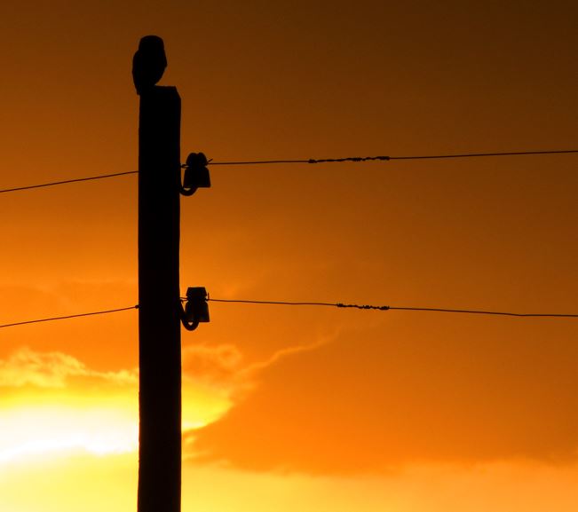 Cambio Postes Madera Telefonica